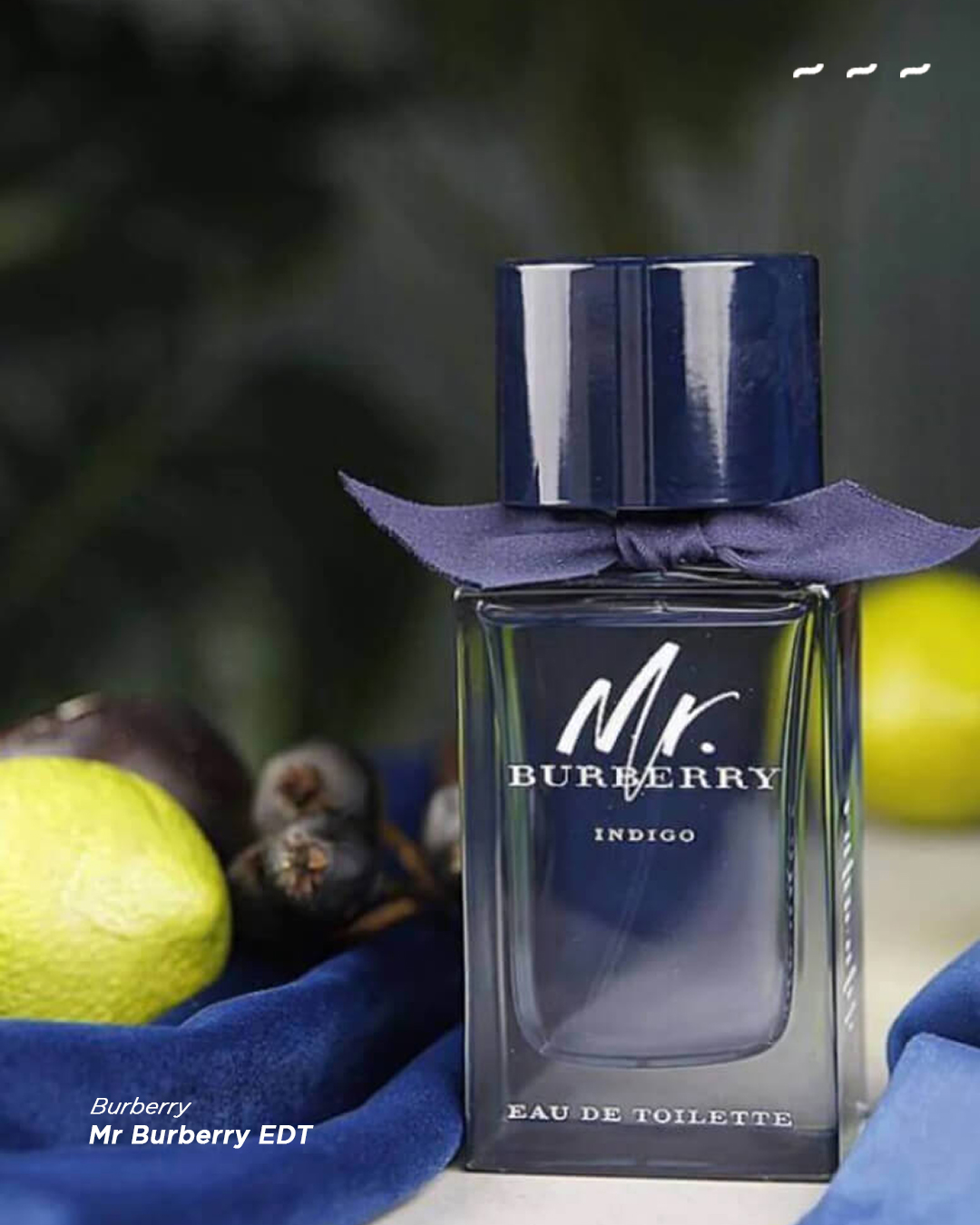 11-6-25(2) Mr Burberry EDT