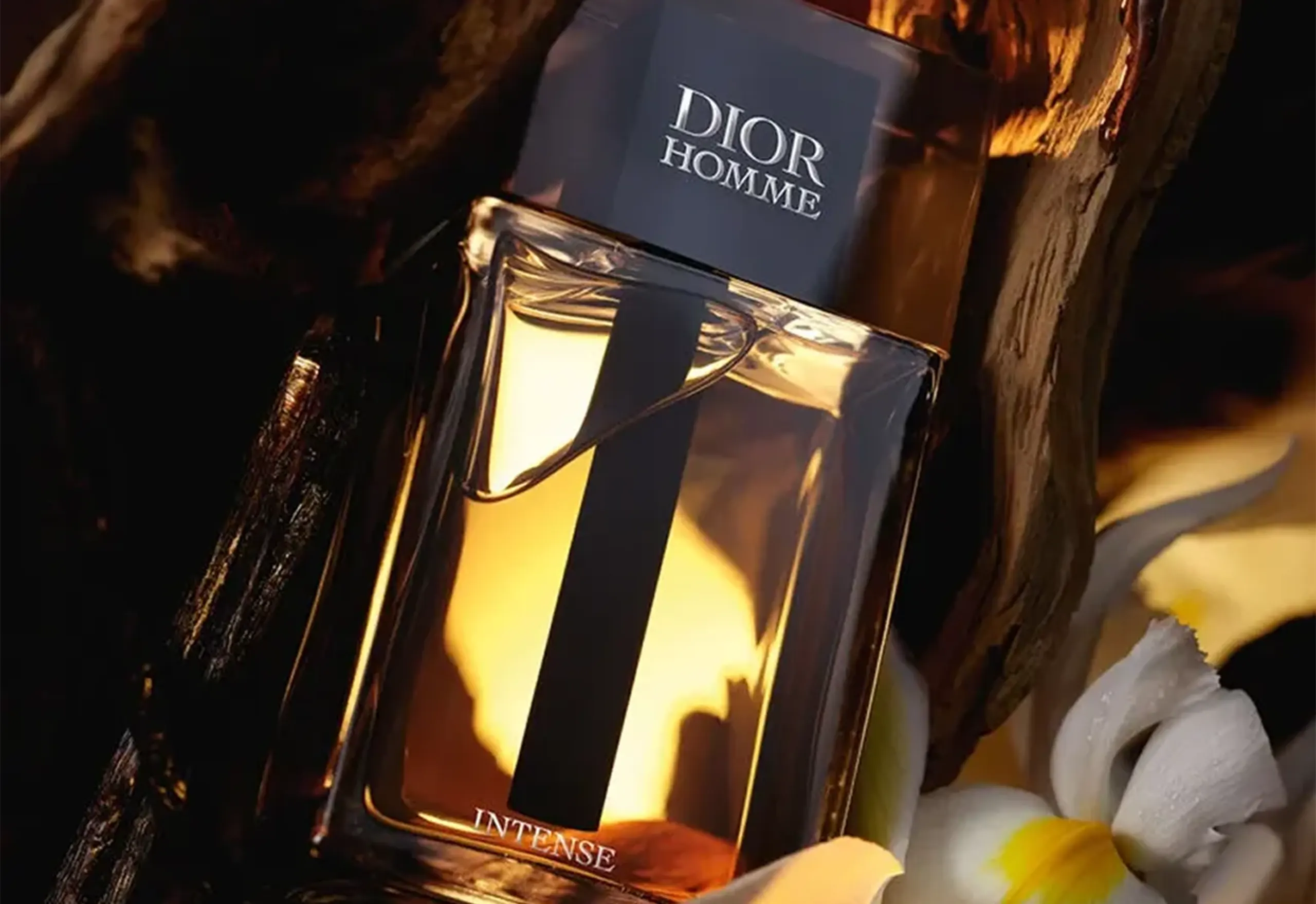 Dior – Iconic Elegance with a Modern Twist