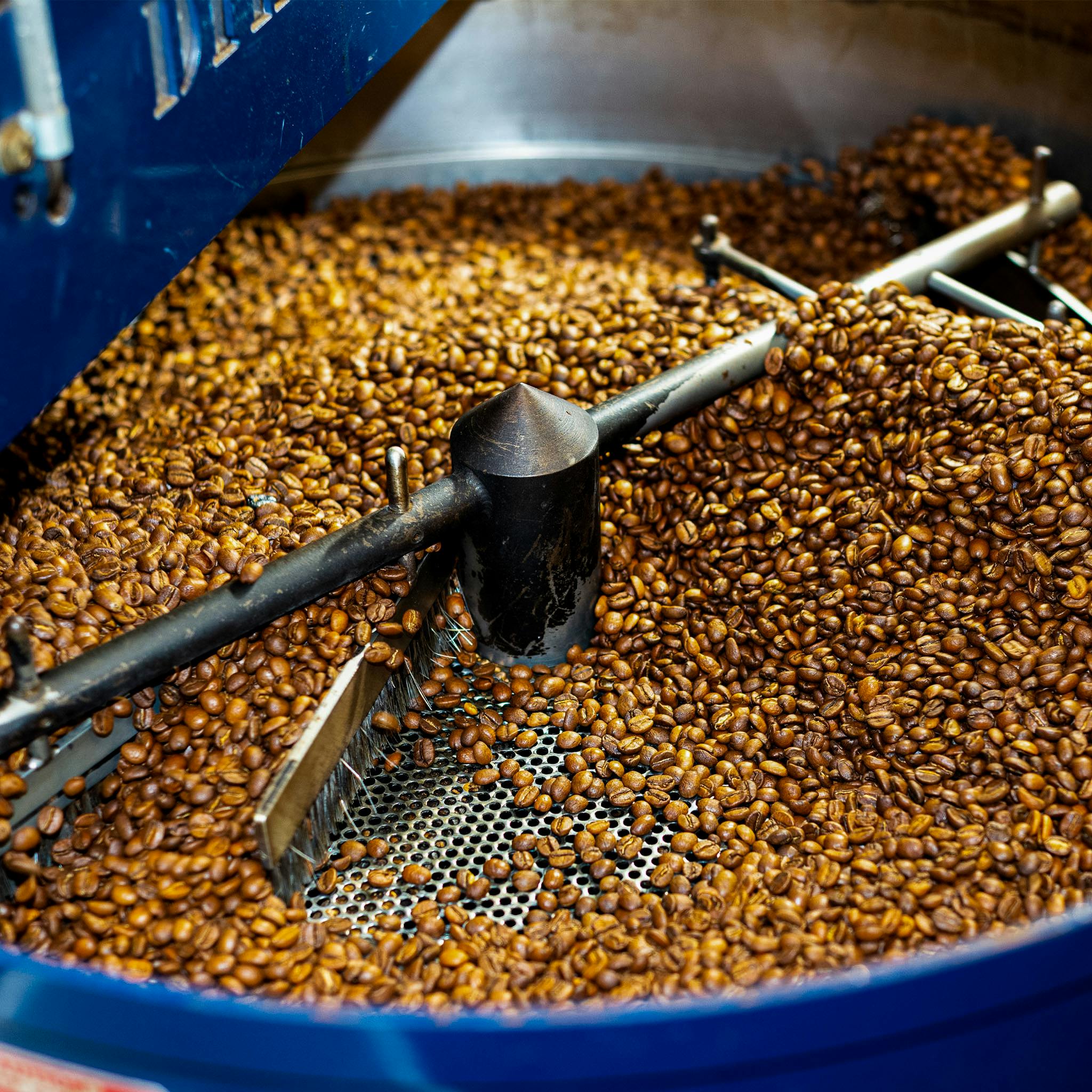 Freshly roasted coffee beans cooling in an industrial coffee roaster, capturing the essence of artisanal roasting.