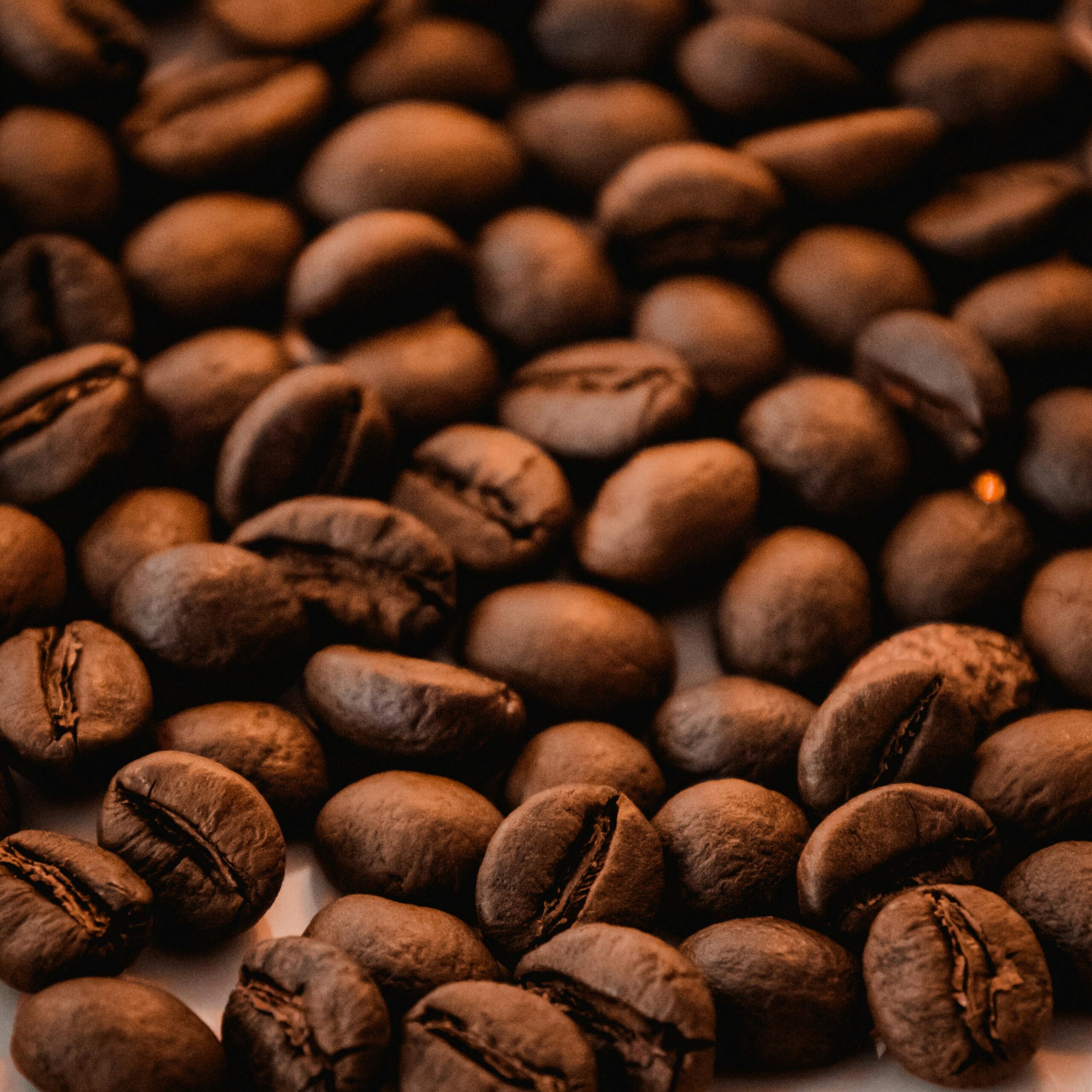 High-quality close-up of freshly roasted coffee beans with rich texture.